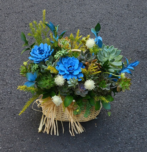 TONE MÀU XANH DÀNH CHO NAM